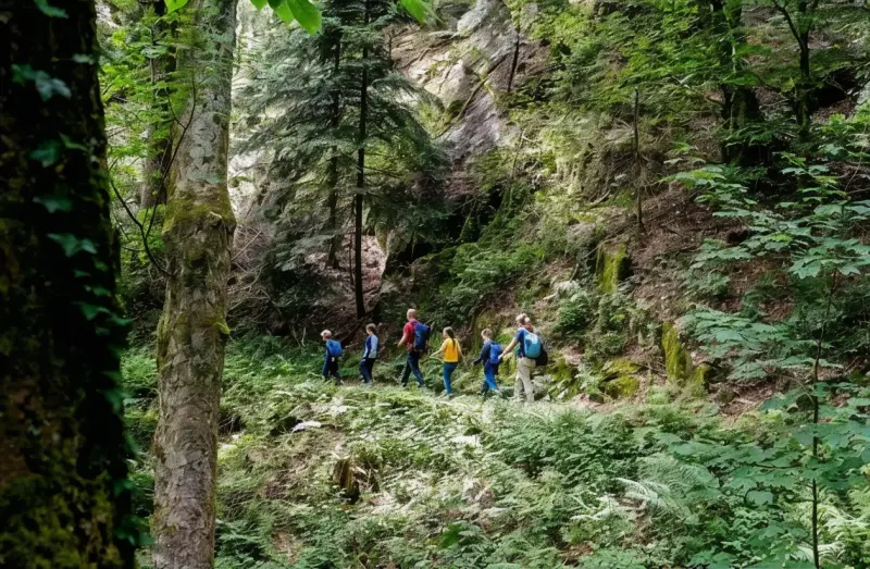 Sagenweg im Schwarzwald lockt mit Felsen und Geschichten